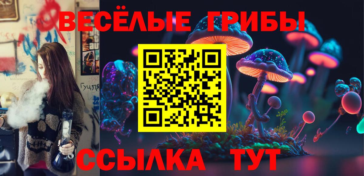 Псилоцибиновые грибы мухоморы  Вход с VPN  Галлюциногенные грибы Psilocybine cubensis  Будённовск 